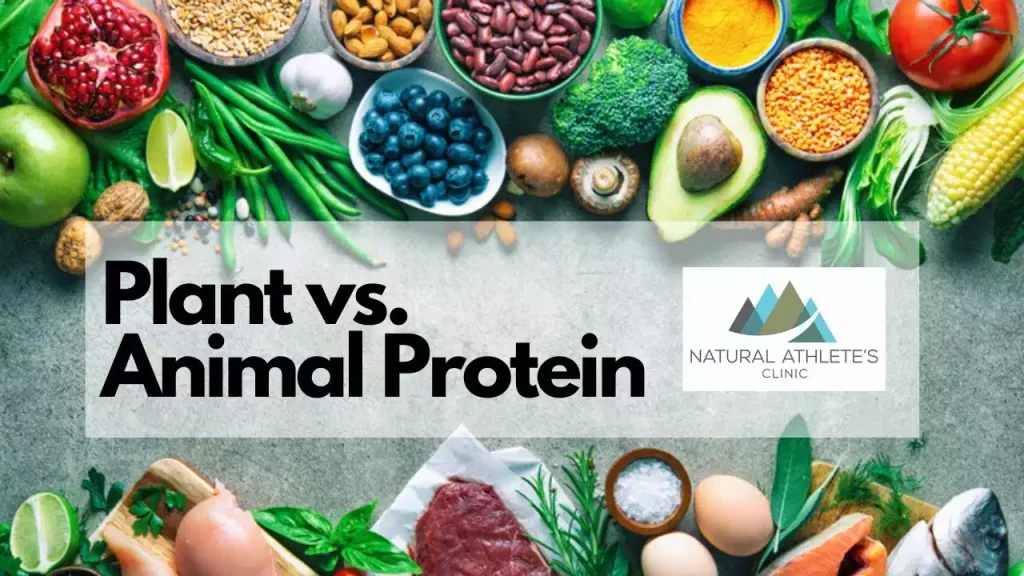 Animal vs Plant Protein